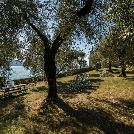 Appartamento Uliveto - In Olive Grove Directly On The *