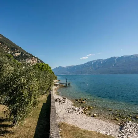 Uliveto - In Olive Grove Directly On The Apartment *